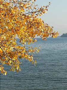 Blick auf den Bodensee bei Konstanz