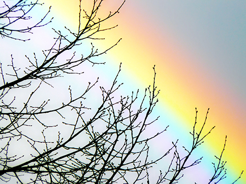 Regenbogen. Lichttherapie. Farbtherapie, Naturheilpraxis Heidrun H. Horn, Konstanz